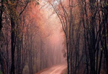 PG游戏:赵继伟14+7付豪21+9林葳关键失误 辽宁险胜南京.