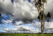 PG游戏:巴斯勒:多特无缘欧冠科瓦奇也会留任,因为他们请不到其他名帅了.