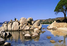 PG游戏:巴斯勒:多特无缘欧冠科瓦奇也会留任,因为他们请不到其他名帅了.